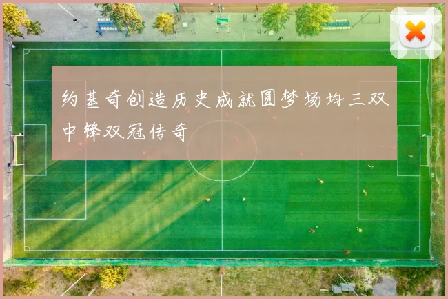 约基奇创造历史成就圆梦场均三双中锋双冠传奇